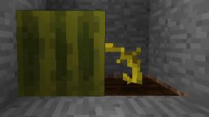 Minecraft Pumpkin Melon Overload Code Golf Stack Exchange