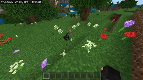 Minecraft Rabbit Spawning Behavior Drops