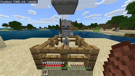 Minecraft Skeleton Spawning and Behavior