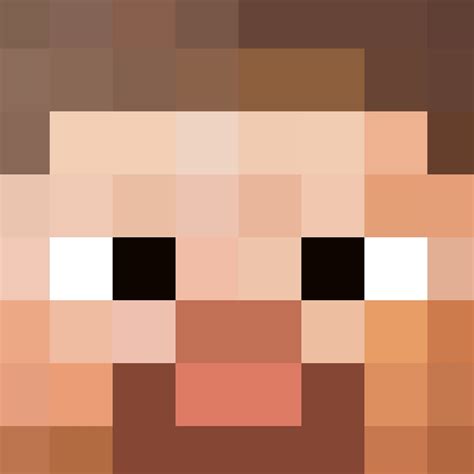 Minecraft Steve Head Pattern