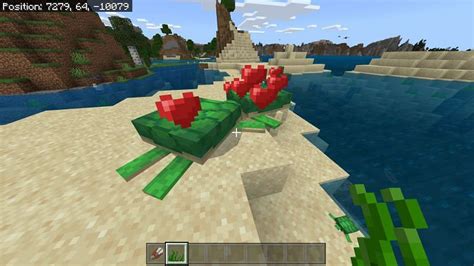 Minecraft Turtle Spawning Behavior and where to find them