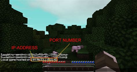 Minecraft With Myzx Tutorial How To Start A Lan World In Minecraft 1 3 1