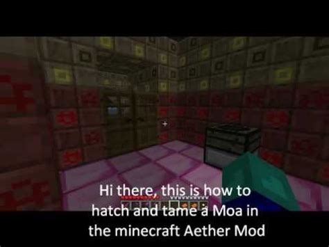 Minecraft aether how to tame a moa