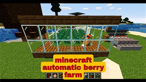 Minecraft automatic berry farm without fox. I'm working on a fully-automatic farm now that 1.5 is out. The plan is to use redstone to flush fully-grown crops into a channel to be collected by a hopper and then picked up by a cart. The issue I've ran into, however, is that seeds do no seem to be planted by dispensers or droppers. 
