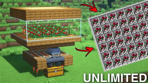 This tutorial instructs you, as the player, how to build an automatic sweet berry farm. Sweet berries grow on sweet berry bushes and will eventually replenish after being harvested, making it possible to farm them. Automatic farms allow the player to get a large amount of sweet berries without.... Minecraft automatic berry farm without fox