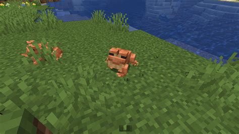 Minecraft frog spawning mechanism explained