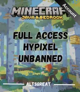 Minecraft full access accounts.  These accounts are unbanned on every server...