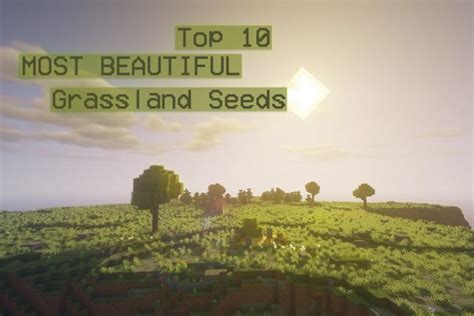 Minecraft grassland seed. Good Flat lands, grasslands minecraft seed 1.7.10 nice seed for building. Features. 1. large flat land are. 2. grasslands, plains biome. 3. ravine. Do not use quotes with seed. Seed: " … 