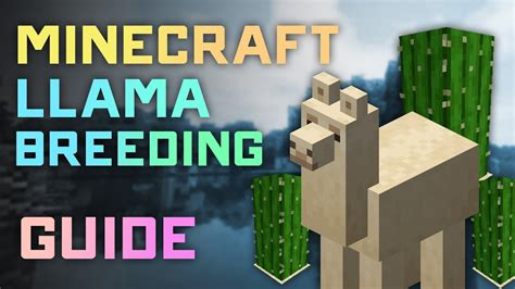 Minecraft how to breed llama