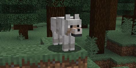 Minecraft how to get a baby wolf