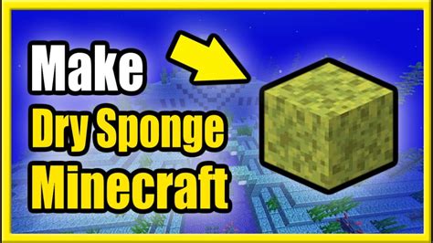 Minecraft how to get sponge in survival