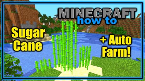 Minecraft how to get sugar cane