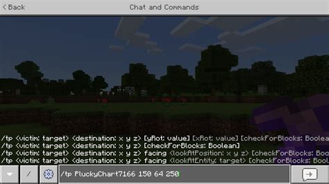 Minecraft how to tp