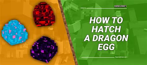 Minecraft how to use dragon egg