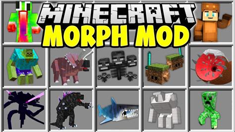 Minecraft how to use morph mod