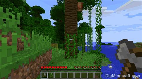 Minecraft jungle tree sapling