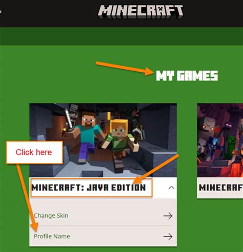 Minecraft you need to enter a profile name. .  ...