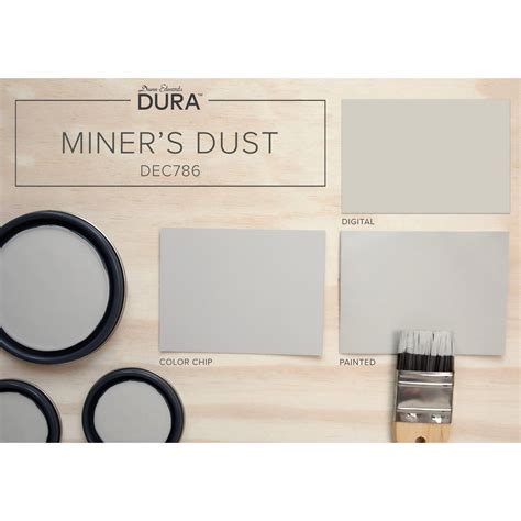 Miner's dust paint. 18 Aug 2020 ... Is brain damage from possible lead paint dust a concern? No. I have been painting with lead-based oil paint for the last 45 years. For the first ... 