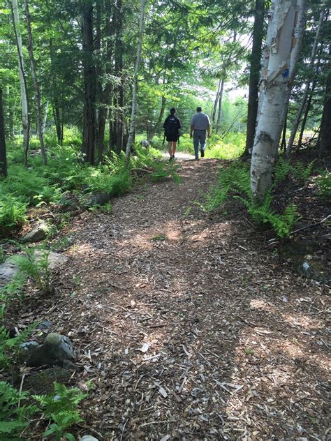 Mingo Springs Trail and Bird Walk - Maine Trail Finder