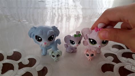 Miniş ailesi YouTube. 