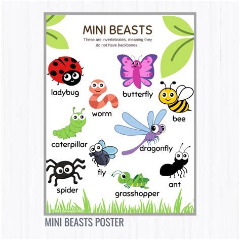 Mini Beast Onlyfans Leak