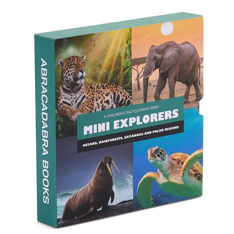 Mini Explorers - Explore Biomes Box Set