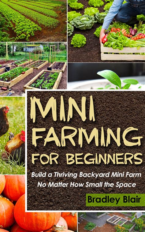 Mini farming the beginners guide on how to grow an organic mini farm indoors how to build a backyard farm. - Skoda fabia 1 4 mpi free manual.
