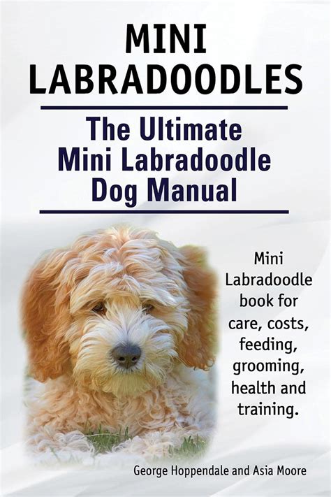 Mini labradoodles the ultimate mini labradoodle dog manual miniature labradoodle book for care costs feeding. - Reconnaissance des différences, chemin de la solidarite.