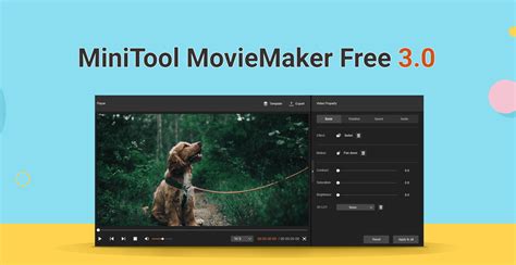 MiniTool MovieMaker  (v3.0.1)