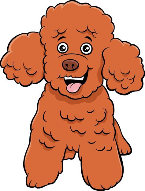 Miniature Poodle: Character & Ownership - Dog Breed Pictures