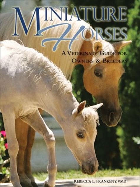 Miniature horses a veterinary guide for owners and breeders. - Business start up mastery der leitfaden zur strategischen unternehmensplanung.