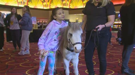 Miniature therapy horses help children with disabilities at private movie screening