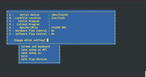 Minicom open serial port.  By setting the device into the Bootloader 2 boot level, a user can tr...
