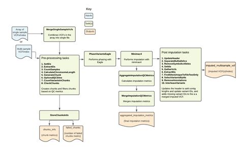 Minimac4 github.  It outputs the imputed VCF along with key imputation metrics .  O...