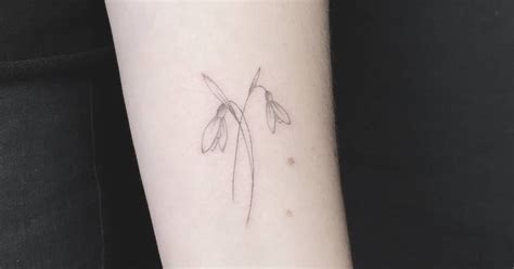 Minimalist snowdrop tattoo. Jul 11, 2023 · Try a Temporary Tattoo. Here is a classic white snowdrop tattoo design idea for all you January babies out there. A snowdrop flower is a symbol of consolation and sympathy. These qualities are also very prominent in people who are born in the month of January. The bloom has a very delicate look to it which has been ideally portrayed in this ink. 