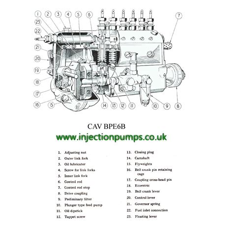Minimec fuel injection pump manual diagram. - Horse owners field guide to toxic plants.
