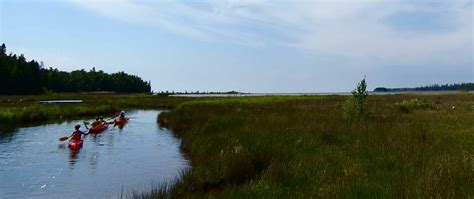 Mink River - Wikipedia