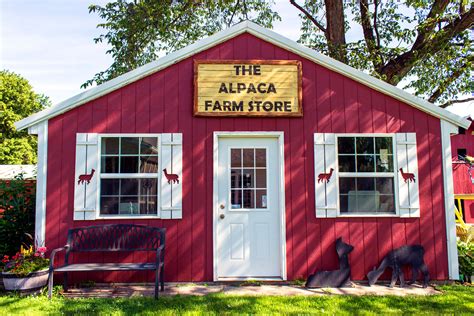 Minnesota Fiber: The Journey from Farm to Yarn