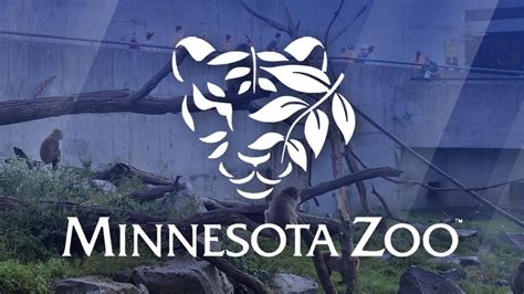 Minnesota Zoo Care & Enrichment - Minnesota Zoo