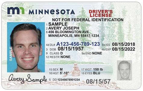 Minnesota driver and vehicle services. Things To Know About Minnesota driver and vehicle services. 