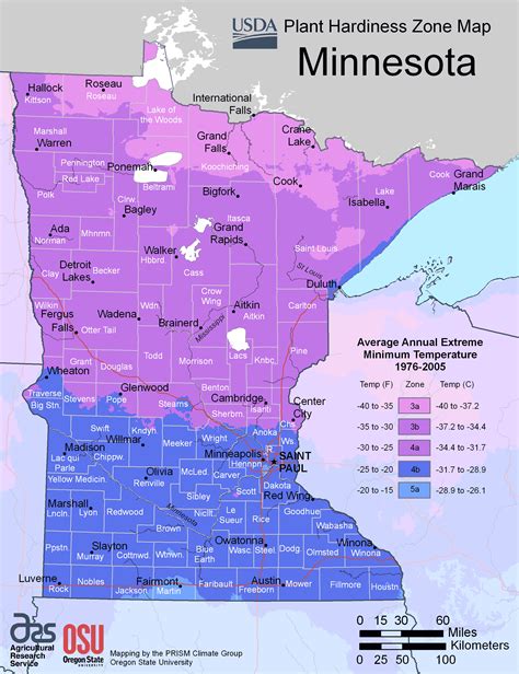 Minnesota growing zone. Planting Zone 5. Plant hardiness Zone 5 includes the southern coastal region of Alaska, the North Central United States and portions of New England. With minimum average temperatures between -20 and -10 degrees F, this zone experiences a moderately cold winter. While the growing season is short, you can extend it by using cold frames or … 
