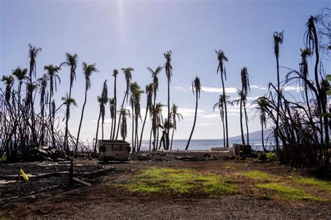Minnesota native starts nonprofit for Maui wildfire victims