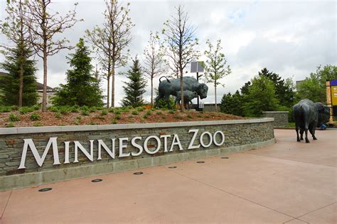 Minnesota zoo minneapolis. Temporary Closure of the Minnesota Zoo Learn More Search below to find everything* happening at the zoo! Zoo Hours Closed Thanksgiving Day and December 25 CONTENTS. 