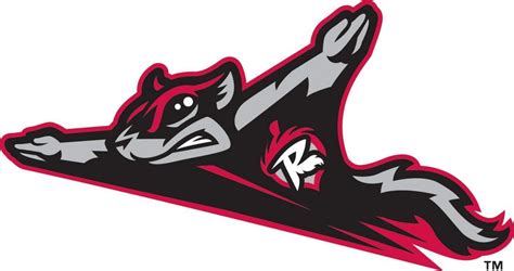 Minor league richmond flying squirrels est 2010 embroidered …