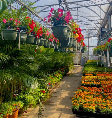 Minors garden center. Things To Know About Minors garden center. 