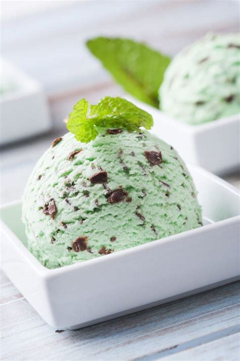 Mint Chocolate Chip Ice Cream - Wells Foodservice