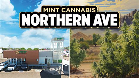 Mint northern ave. Mint Cannabis is a national, multi-state operator, cultivator, and innovator headquartered in Guadalupe, Arizona. Its parent company, Brightroot Inc., was founded in 2016. Serving medical cardholders and adult-use customers ages 21+, the Mint operates a highly respected nationwide network of state-of the-art retail locations, manufacturing and ... 