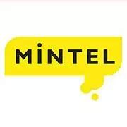 Mintel International - 65 Employees - US Staff