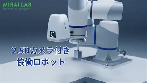 Mirai Laboratory Forums