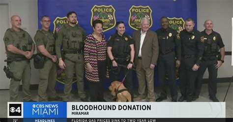 Miramar Police Department welcomes bloodhound puppy to the force